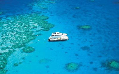 9 Things to do in Palm Cove with Toddlers