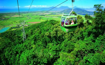 8 Things to do in Palm Cove while on Holiday